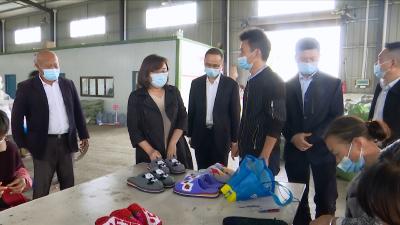 视频丨赵少莲到刘河镇调研时要求：巩固脱贫成果 助力乡村振兴