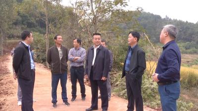 视频丨詹才红到蕲州片区调研督办征迁工作