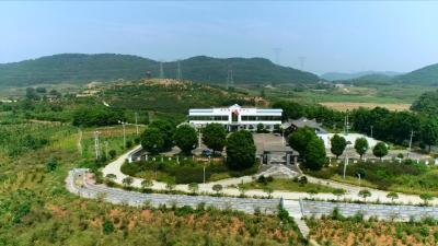 视频丨蕲州镇韦庄村：特色农业绘就发展蓝图  生态宜居铺成小康底色