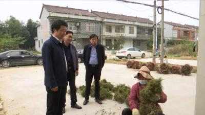 ​视频丨全县扎实开展“一感一度一率一评价”测评工作