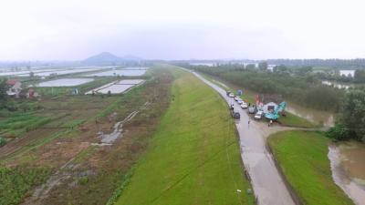 视频丨党旗插在大堤上  守护安全保安澜