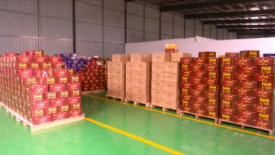 视频丨艾中艾酒业：多元发展 疫后重振