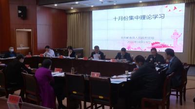 视频丨县政府党组理论学习中心组集中学习