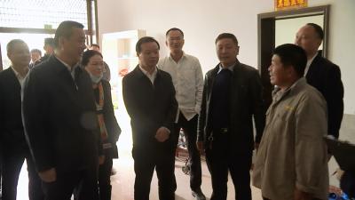 视频丨詹才红督办“千人千户大会战”