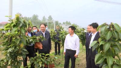视频丨省台办到陈云村开展脱贫攻坚帮扶行动