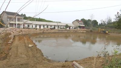 视频丨彭思镇推进高标准农田建设  