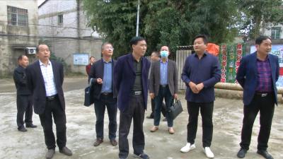 视频丨罗州城片区推进基层社会治理