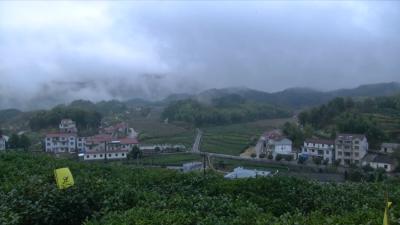 视频丨蕲春：“与爱同行 惠游湖北”活动免票接待游客16万人次