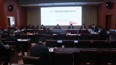 视频丨县政府党组理论学习中心组集中学习