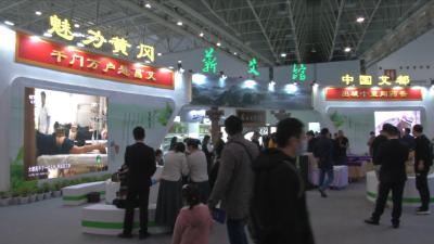 视频丨蕲艾再度惊艳世界大健康博览会
