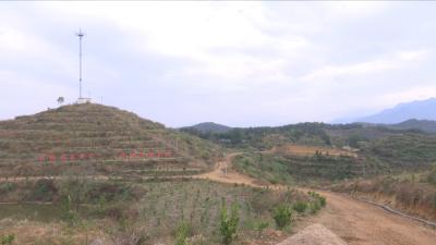 视频丨青石镇：能人回乡创业带动乡村振兴