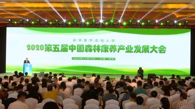 视频丨大同镇荣获“全国森林康养基地试点建设乡镇”