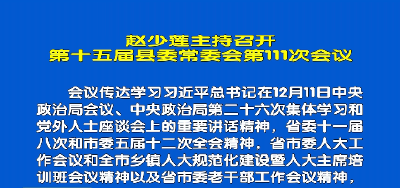 视频丨赵少莲主持召开第十五届县委第111次常委会