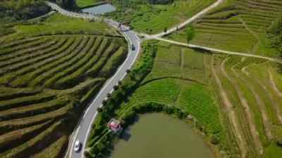 视频丨县政协视察“四好农村公路”