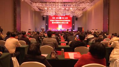 视频丨赤东镇商会成立