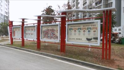 视频丨赵少莲调研党建引领社区治理工作