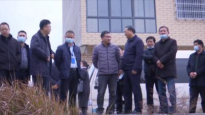 视频丨市政协视察乡镇污水处理工程建设