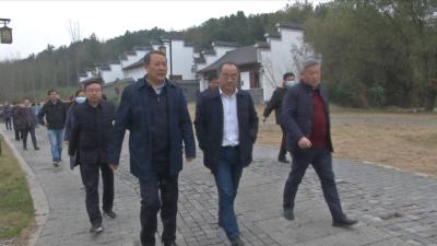视频丨岳阳市政协考察蕲春大健康产业