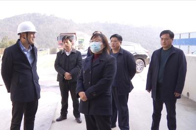 视频丨赵少莲调研蕲春高铁项目建设