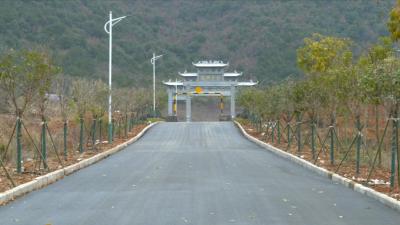 视频丨蕲州：刷黑村庄道路  提升村容村貌形象