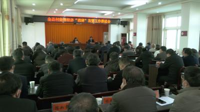 视频丨蕲春全力推进村集体经济“消薄”攻坚