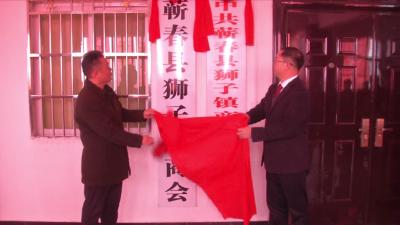 视频丨狮子镇商会成立