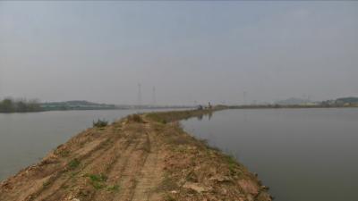 视频丨西马口湖退垸还湖项目启动