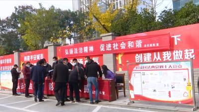 视频丨我县开展丰富多彩的“宪法日”宣传活动