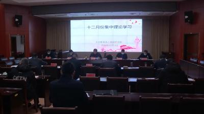 视频丨县政府党组理论学习中心组集中学习习近平总书记系列重要讲话