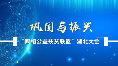 2020年网络扶贫论坛在京召开