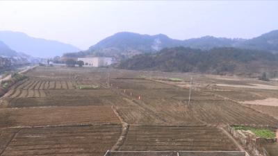 视频丨张榜镇：产业基地 “刨金”   集体经济 “消薄” 
