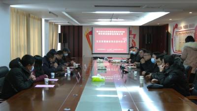 视频丨今年首个教授“千人计划”项目花落驹龙园茶业