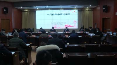 视频丨县政府党组理论学习中心组集中学习习近平总书记系列重要讲话精神