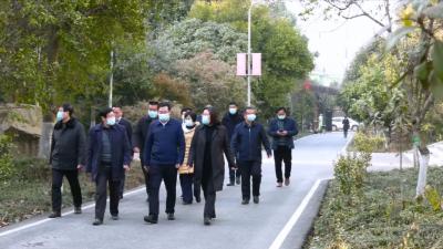 视频丨何飞来我县调研基层党建工作