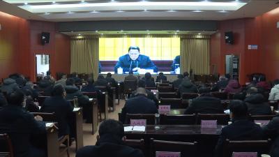 视频丨市委召开全市经济工作视频会