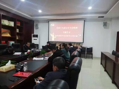 县中医药产业发展中心学习贯彻五中全会精神