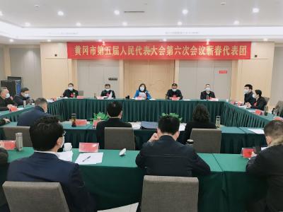 视频丨蕲春代表团审议市人大常委会等三个工作报告