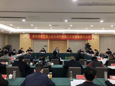 视频丨出席黄冈市五届人大六次会议的蕲春代表团举行全体代表会议