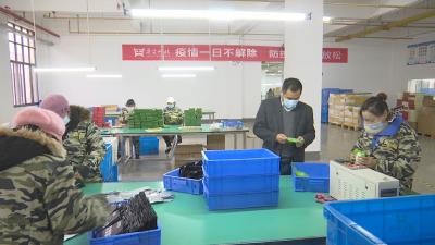 视频丨骆百林：做强做大蕲艾产业  带富一方百姓