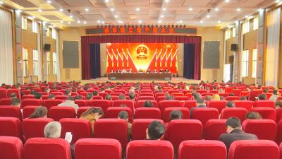 视频丨开局谋精彩  地方新脉动