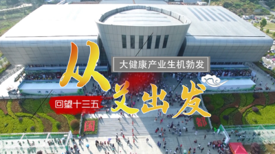 短视频｜从艾出发 大健康产业生机勃发