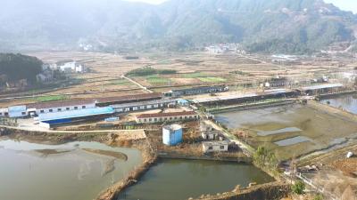 视频丨刘河镇石马山村：党建引领产业强村