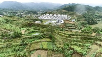 视频丨向桥：建设药旅油茶之乡  创建森林康养小镇
