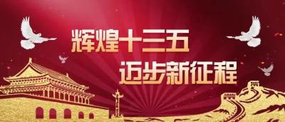 辉煌十三五 迈步新征程丨一棵小草撬动一个大产业
