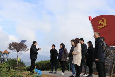 大同镇青干班成员到李山村调研学习