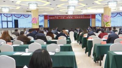视频丨政协委员分组讨论政协工作报告