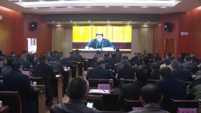 视频丨市委市政府召开视频会议传达全国“两会”精神