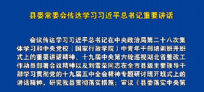 视频丨县委常委会传达学习习近平总书记重要讲话
