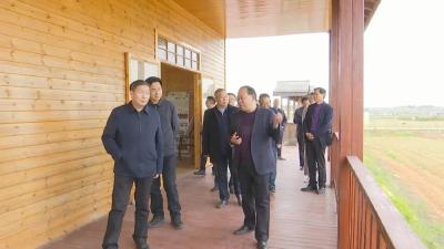 视频丨省政协调研组来我县调研巩固脱贫攻坚成果同乡村振兴有效衔接工作