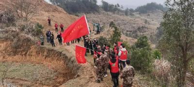 快讯｜向桥乡：全民植树助力生态文明建设
